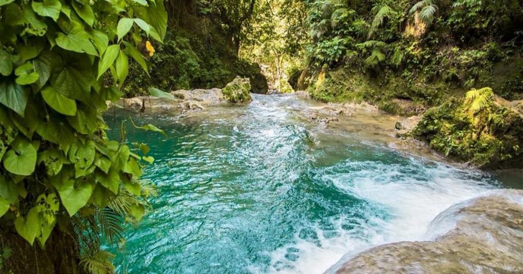 Triple Action Pack Combo